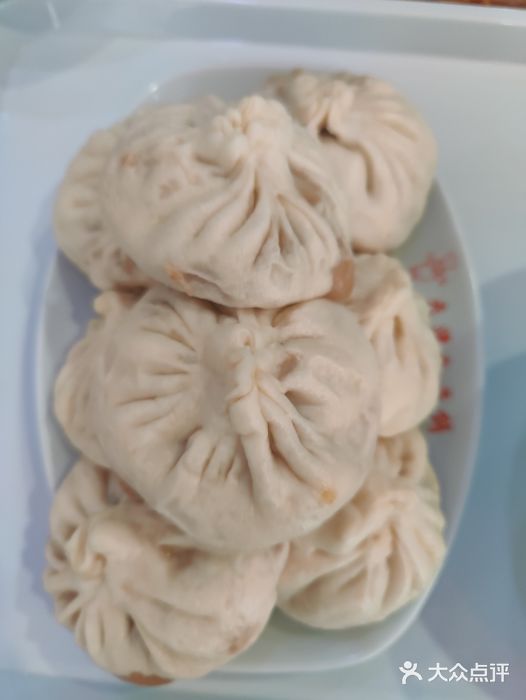 天津包子铺(万泉庄店)猪肉大葱包子图片