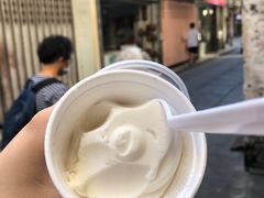 -洪馨椰子