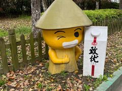 -上海都市菜园