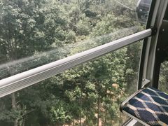 -紫金山天文台