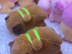 -可爱抓 COCO  GOTCHA(天津鹏欣水游城店)