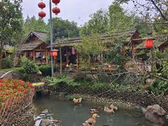 -青城甲(青城山店)