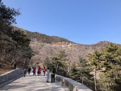 -北京西山国家森林公园