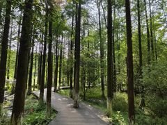 -艾溪湖湿地公园