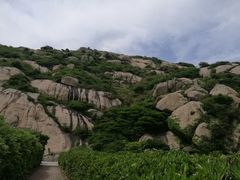 -洋山深水港