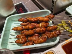 -邢氏老太太烤串(北兴街店)