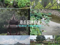 -金砂公园