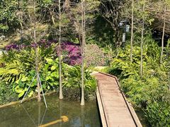 -云溪植物园