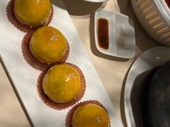 -VT101维多利广场