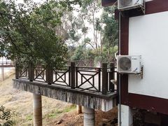 -酒仙湖景区