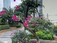 -科尔海悦酒店·柏顿花园餐厅(清河东路店)