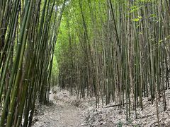 -井空里大峡谷