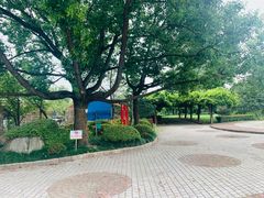 -嘉定紫藤园