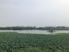 -大兴滨河森林公园