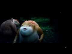 -星河国际影城(新会店)