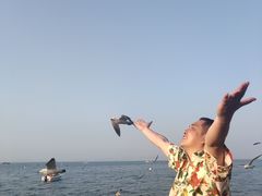 -东港音乐喷泉广场