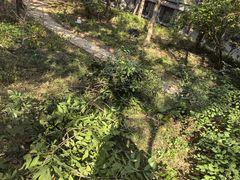 -永定河休闲森林公园