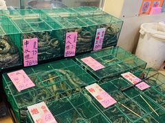 水产区-荔城生鲜盛宴(番禺旗舰店)
