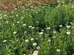 -幸福蓝海国际影城(铜陵店)