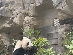 -香港海洋公园