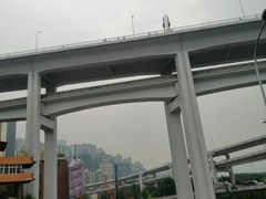 -菜园坝水果市场
