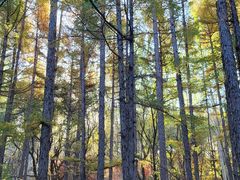 -长春市南湖公园