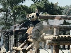 -大连森林动物园