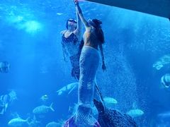 -太平洋海底世界