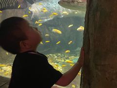 -嘉兴海底世界
