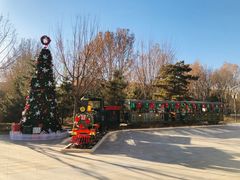 -南宫五洲植物乐园