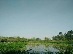 -白鹭湾湿地公园