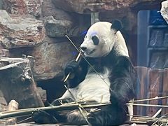 -石家庄市动物园