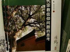 -文星素食(兴华路店)