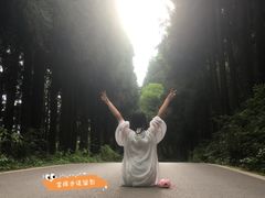 -武陵山森林公园