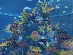-北海海底世界