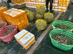 -海峡水产品交易中心(海鲜交易区)