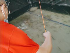 -小象钓虾·营地烧烤(洛溪店)