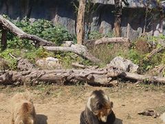 -武汉动物园