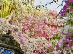 -深圳国际园林花卉博览园