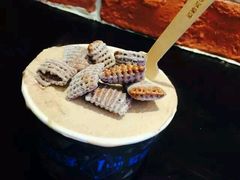 -屈礼洪