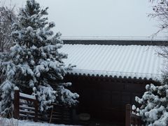 -少华山国家森林公园