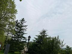 -棒棰岛宾馆景区