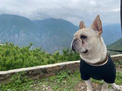 -萝卜寨羌文化生态旅游区