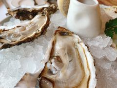 范德克莱尔3号生蚝-福楼法餐厅FLO