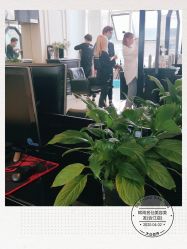 点击看大图 -锦尚名仕美容美发