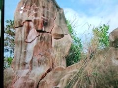 -玫瑰海岸文化旅游度假区