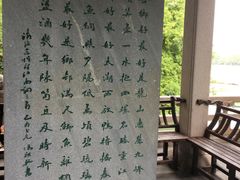 -长广溪湿地公园