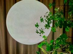 -和里合·颜愈SPA·Relax瑶浴·Massage(石厦店)