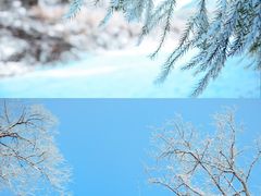-武陵山森林公园