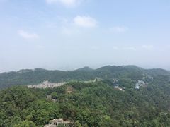 -南山植物园